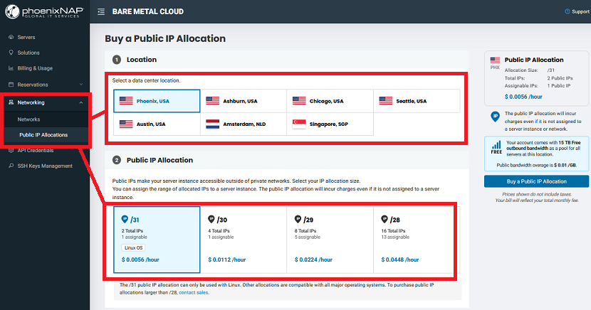 Public IP allocation feature