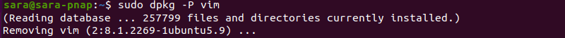 sudo dpkg -P vim terminal output