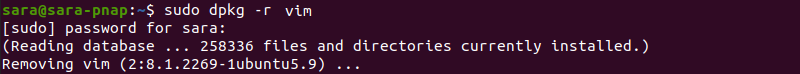 sudo dpkg -r vim terminal output