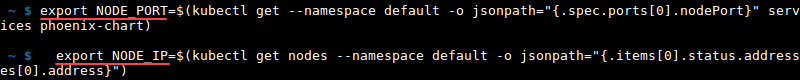 Terminal output of the commands export node port and ip