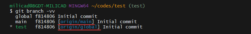 Listing all branches using the git branch -vv command