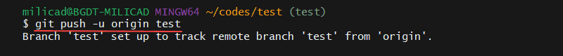 git push -u command and confirmation message that a branch is tracking a remote branch