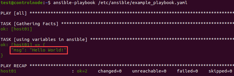 Executing the playbook with a variable