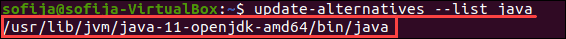 Check Java directory path to find the java installation version 