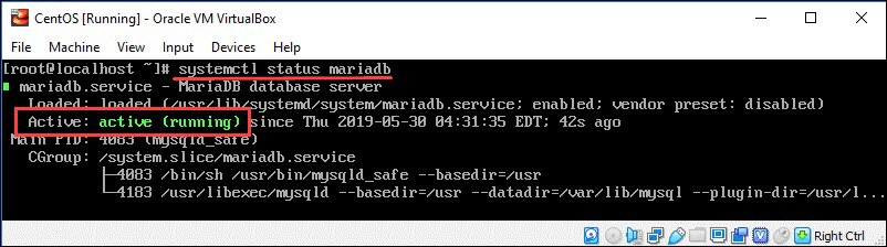 check mariadb status