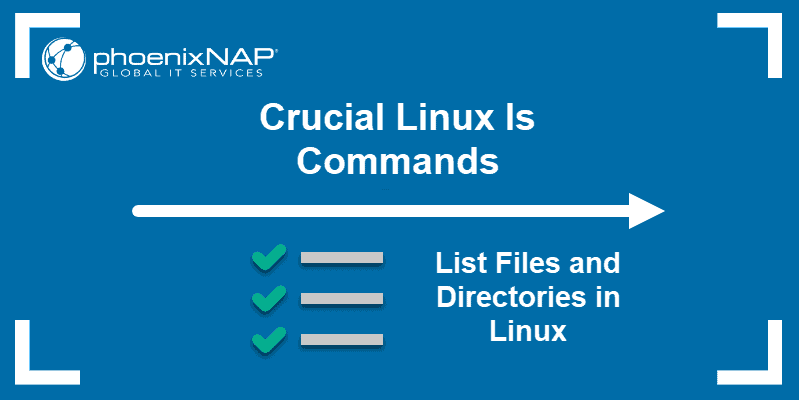 Linux ls commands every user must learn.