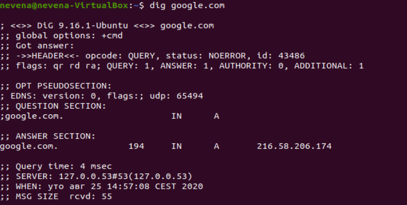 Using the basic dig command.
