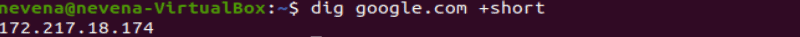 dig +short displays only IP address. 