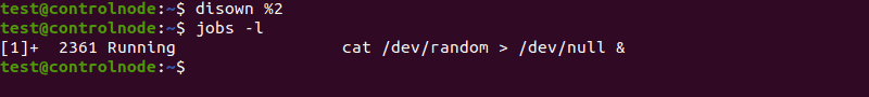 Removing a specific job using the disown command