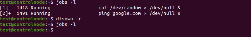 Removing currently active jobs with the disown command