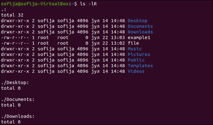 Display additional information on directory tree with ls -lR command.