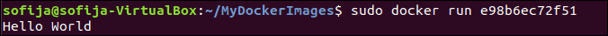 Run a Docker container with docker run command.