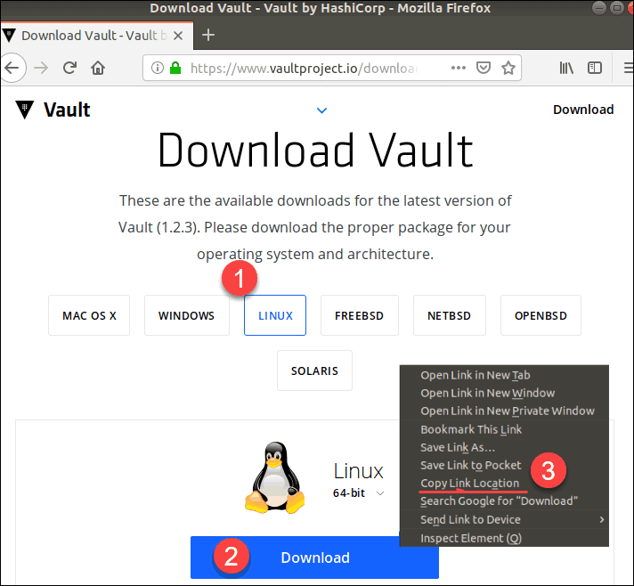 downloading vault for ubuntu linux