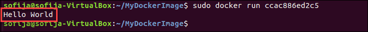 Running a container using Docker Entrypoint.