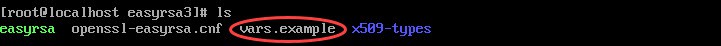 Find vars.example file for EasyRSA.