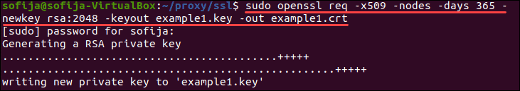 Generate keys and certificates for your web services before starting up NGINX reverse proxy.