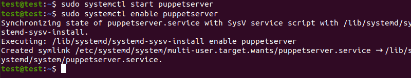 Start up the puppetserver service