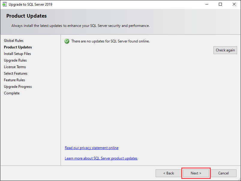Let the installation search for online updates