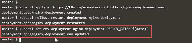 Input and result for using environment variables