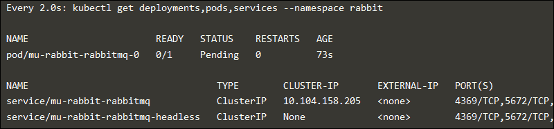 The command deiplays the details and status of the RabbitMQ deployment.