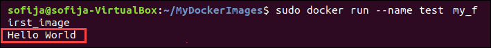 example of launching a new container based on the docker image