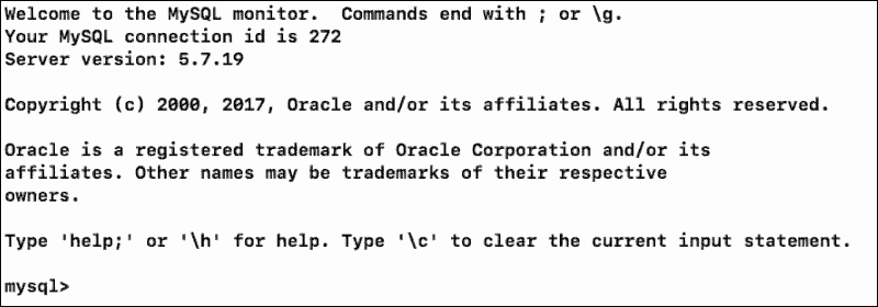 MySQL shell on macOS