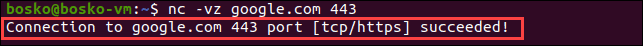Ping a port using netcat