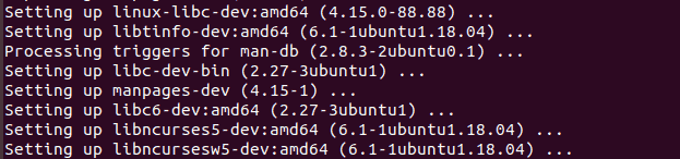 terminal output when installing ncurses packages