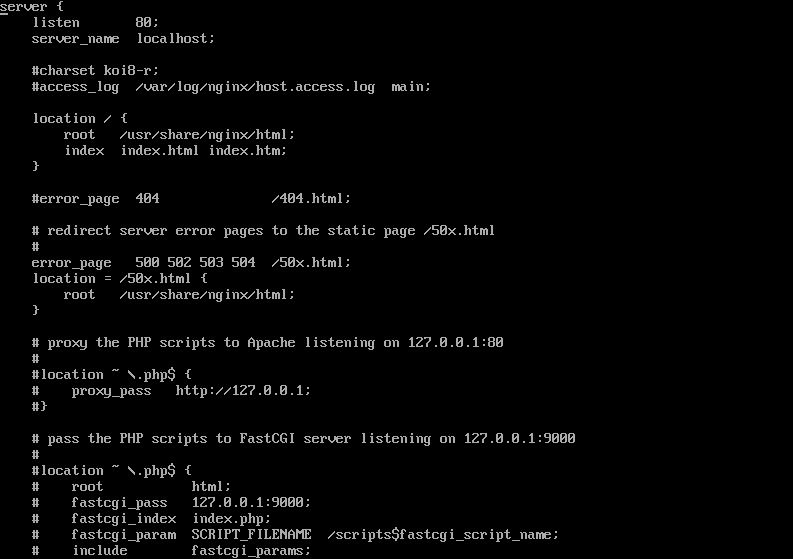 cloned nginx default configuration file displayed