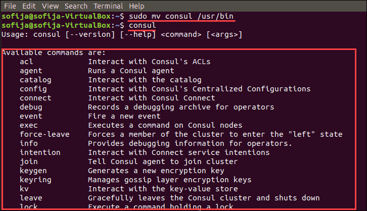 open consul available commands