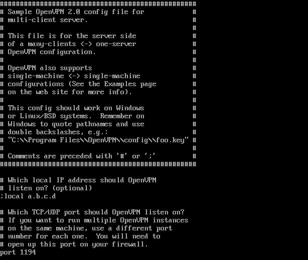 The server configuration file for OpenVPN.