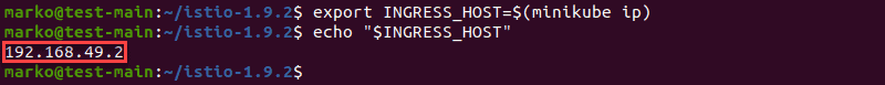 Exporting the ingress host environmental variable