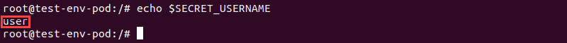 Exposing the value of an environment variable using echo