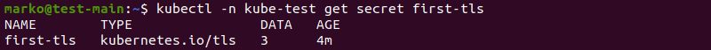 Using kubectl to view information about the secret 