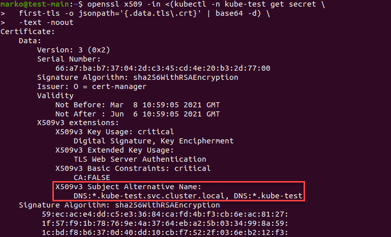 Testing the certificate created with cert-manager