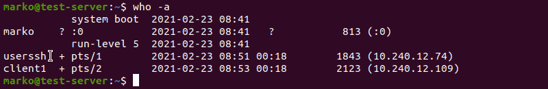 Printing all information with the who -a command