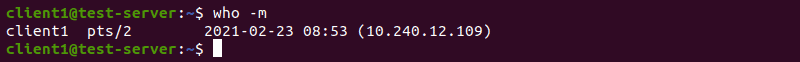 Using the -m option to display only the current user associated with stdin