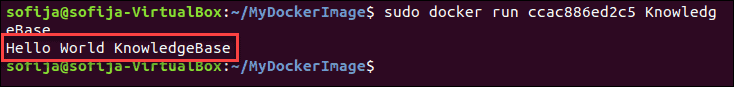 Example of how Docker override entrypoint by adding new parameters.