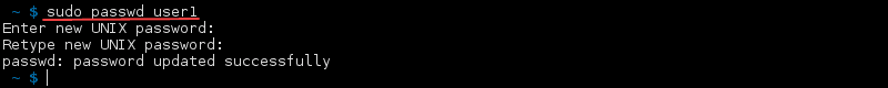 Terminal output of the passwd user example