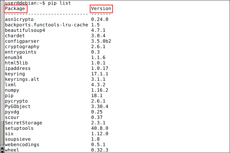 The list of pip packages in the Debian terminal