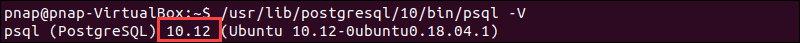 Psql version using the full binary path.