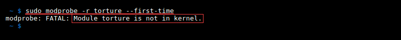 Terminal output of removing module with modprobe -r --first-time error