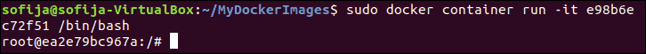 Run a Docker container in interactive mode.