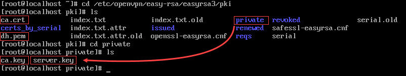Server keys and certificates for OpenVPN.