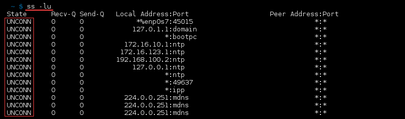 Terminal output of the command ss -lu