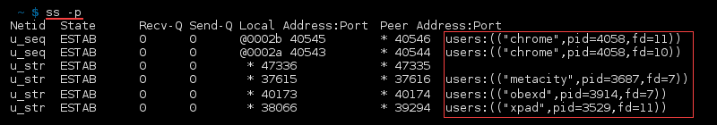 Terminal output of the command ss -p