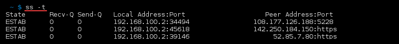 Terminal output of the command ss -t