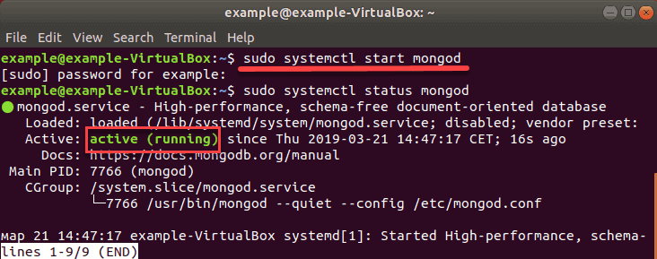 command to start the database service