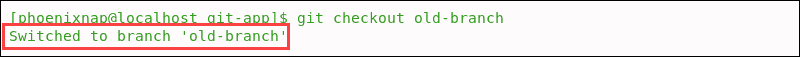System confirms that the branch is checked out