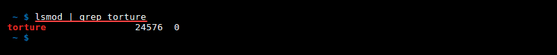 Terminal output of lsmod and grep module